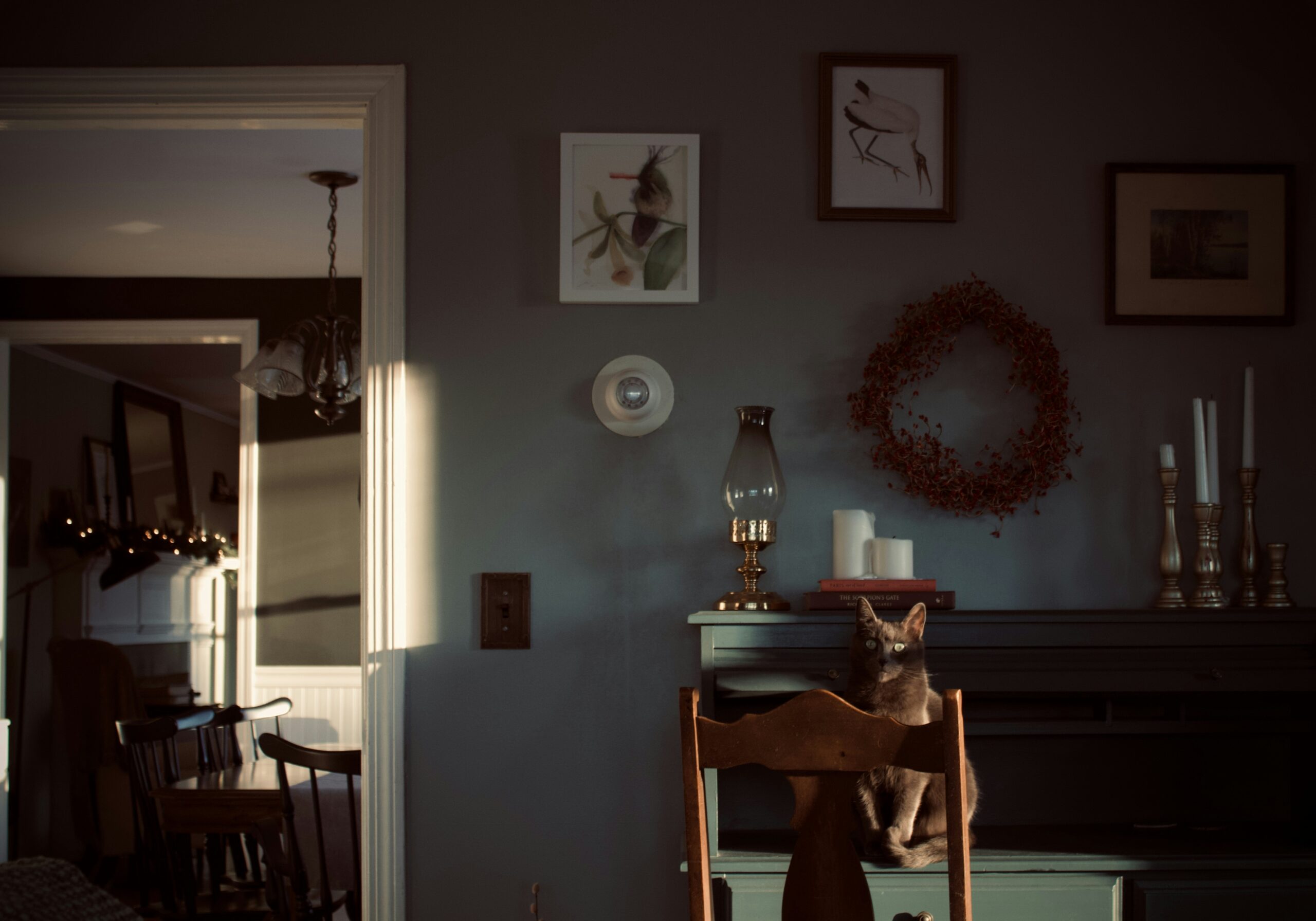 The 2026 Smart Home: How Integrated Devices Are Redefining Financial and Physical Well-Being